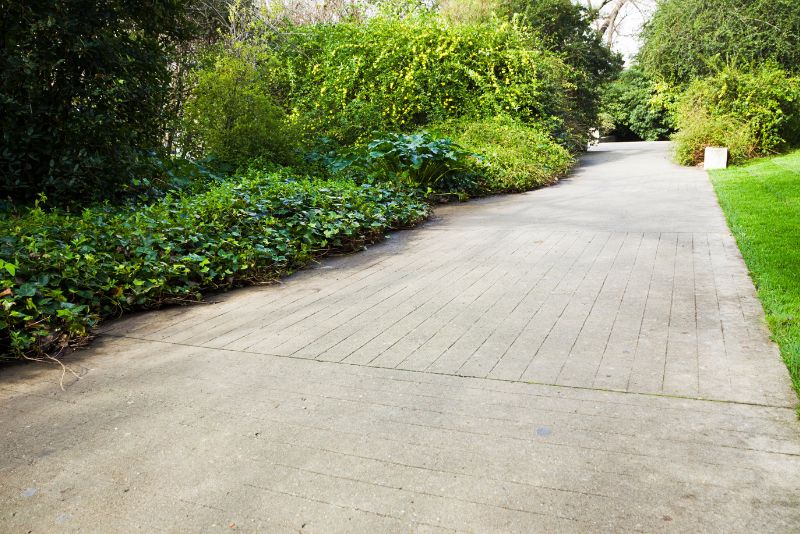 a concrete footpath in the park